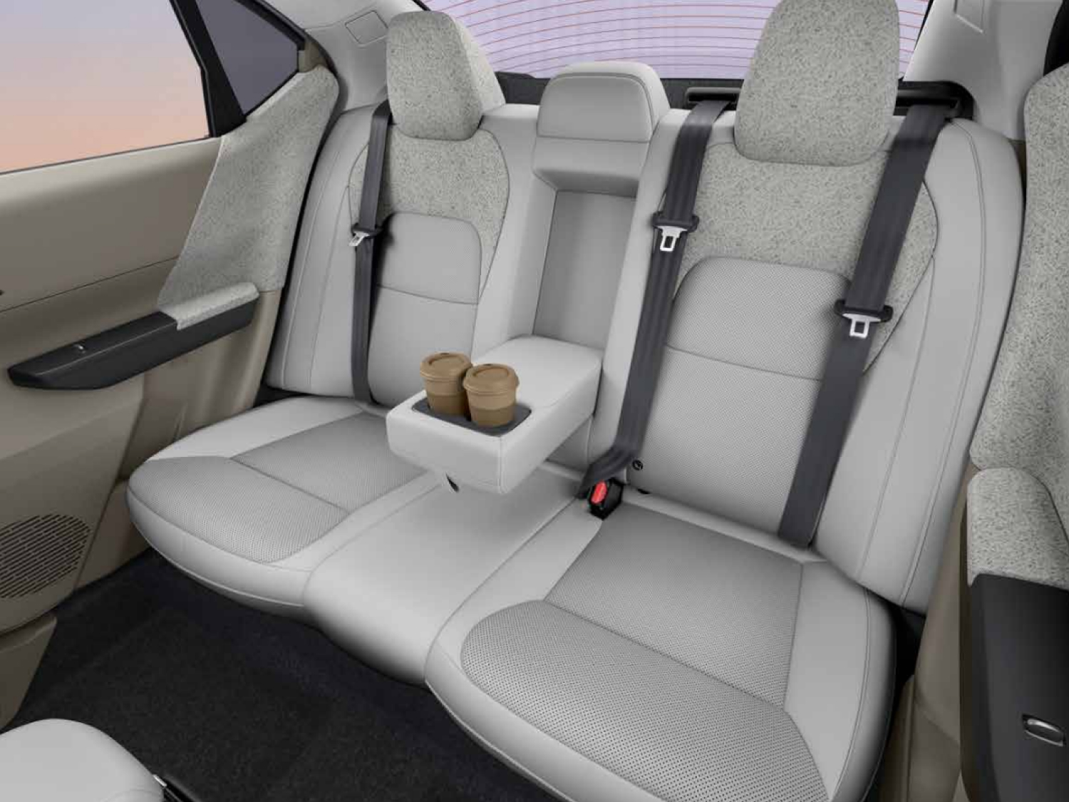 Rear Arm Rest